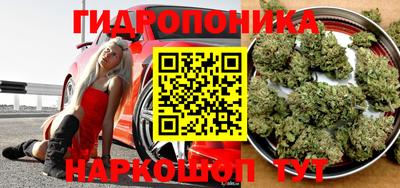 молекула духа Ставрополь