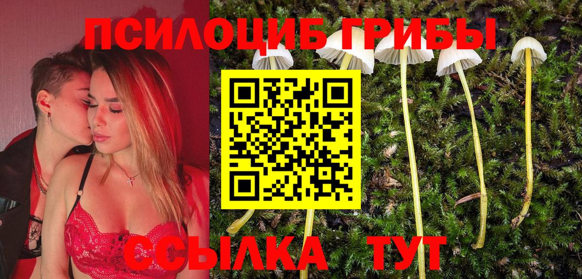 Псилоцибиновые грибы Psilocybe Нижневартовск