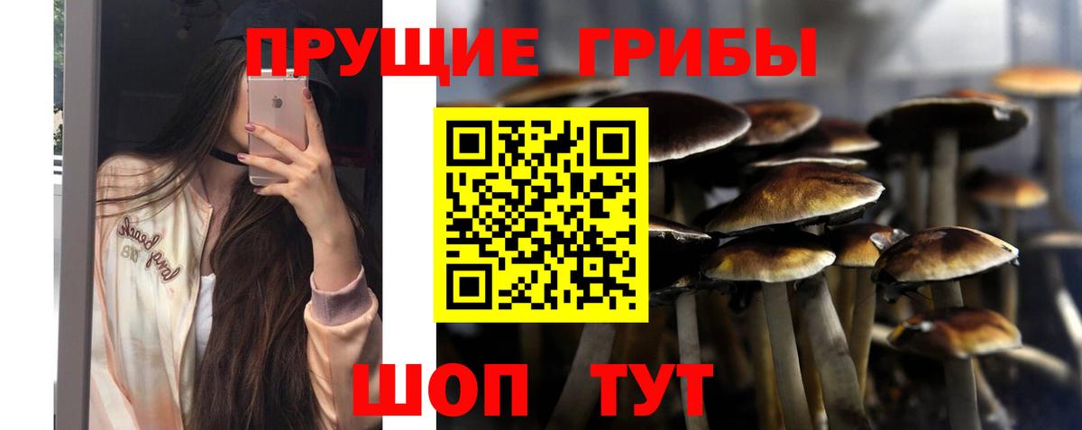 Нижневартовск  Галлюциногенные грибы Cubensis  Вход с VPN  Галлюциногенные грибы прущие грибы 